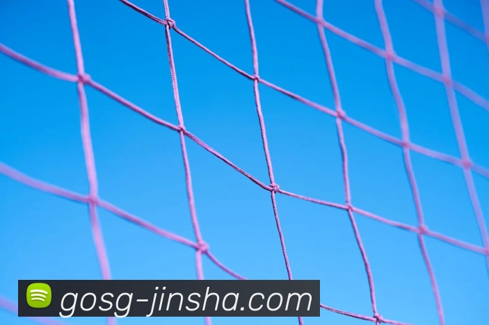 金沙娱乐城APP 体育赛事宣传图